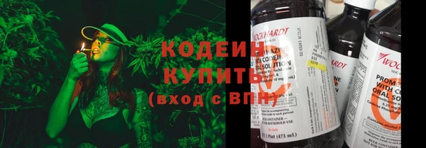 твердый Ельня