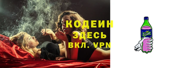 твердый Ельня