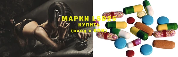 дмт Елабуга