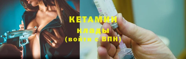 твердый Ельня