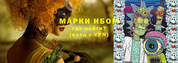 дмт Елабуга