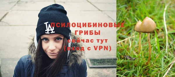 ALPHA PVP Заволжье